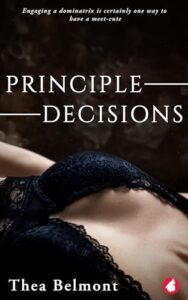 Principle decisions book cover
